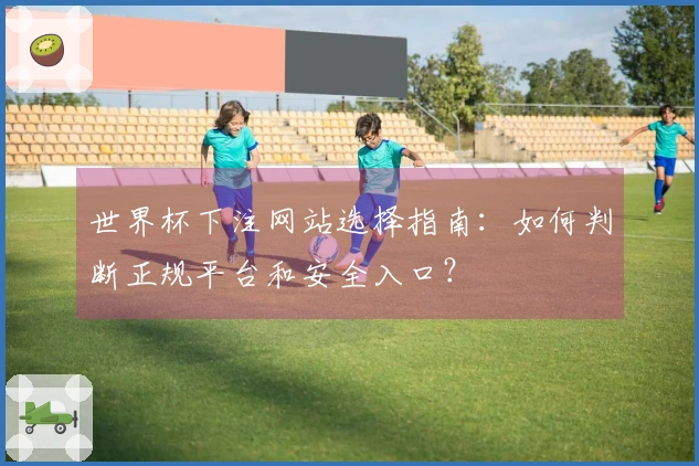 世界杯下注网站选择指南：如何判断正规平台和安全入口？