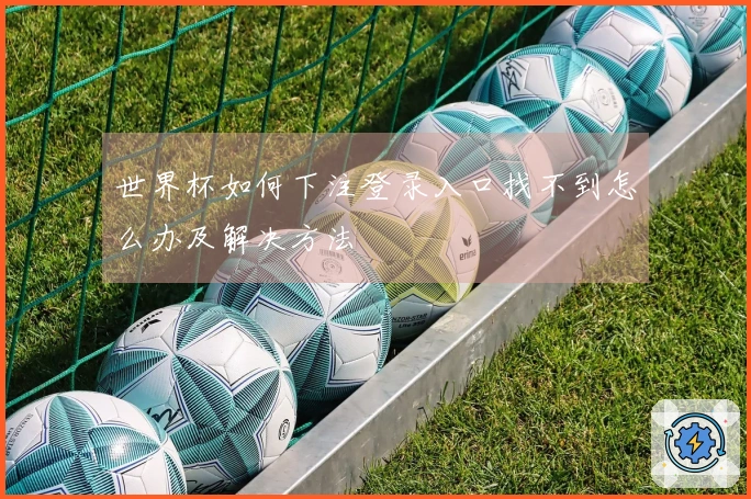 世界杯如何下注登录入口找不到怎么办及解决方法