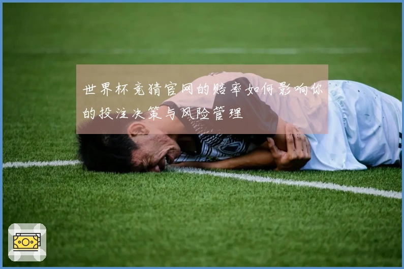 世界杯竞猜官网的赔率如何影响你的投注决策与风险管理