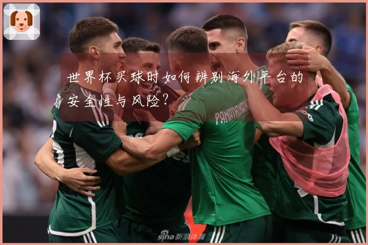世界杯买球时如何辨别海外平台的安全性与风险？